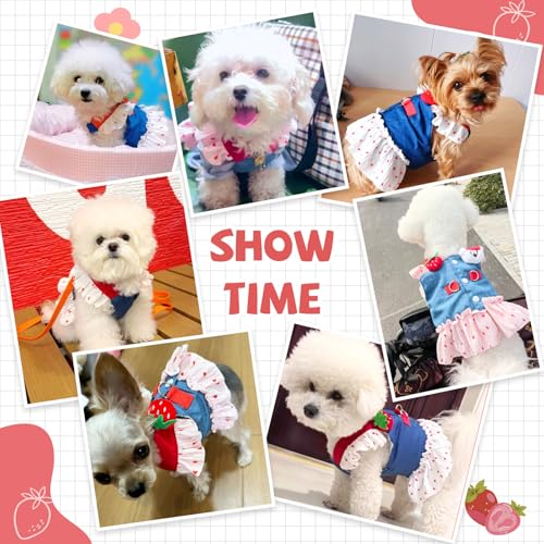 Small Dog Harness and Leash Set Denim Cat Harness Dress for Puppy Clothes for Girls Pink Dog Birthday Dress French Bulldog...