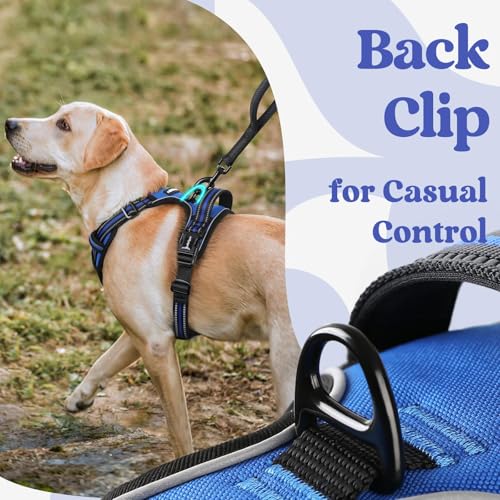 rabbitgoo Dog Harness Medium Sized, No Pull Pet Harness with 3 Buckles, Adjustable Soft Padded Vest with Control Handle, W...