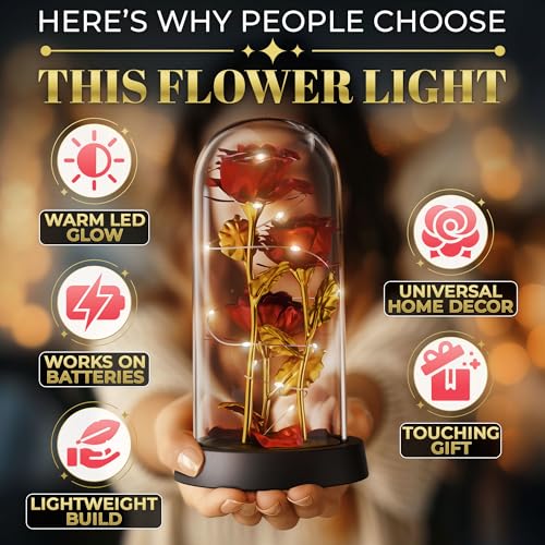 Rose in Glass Dome with LED Lights in Gift Box — Mothers Day Gifts for Mom Grandma, Birthday Gifts for Women, Lighted Glas...