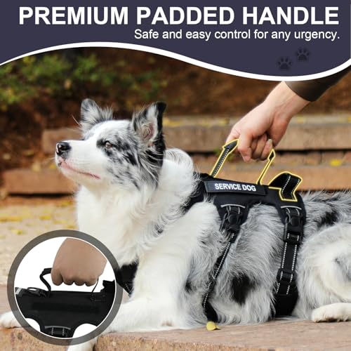 Escape Proof Dog Harness for Large Medium Sized Dogs Six Point Adjustable, Service Dog Vest Harness and Leash Set, No Pull...