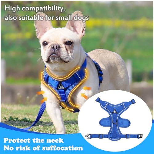 Large Cat Harness and Leash Set for Walking - Escape Proof Adjustable Vest, Reflective Breathable Mesh with 4 Buckles for ...
