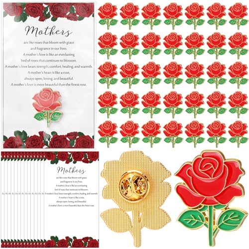 Liliaafar Mother's Day Rose Pin Gifts Red Rose Flower Lapel Pin Enamel Brooch with Inspirational Praise Card Church Gifts ...