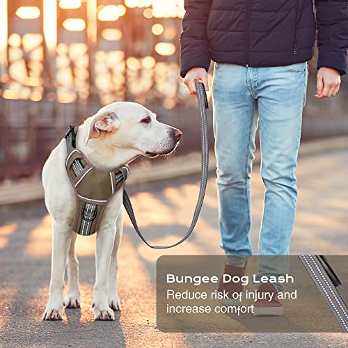 No Pull Dog Harness for Medium Dogs, Adjustable No Choke Pet Vest with Dog Leash Fit Smart Reflective Pet Walking Harness ...