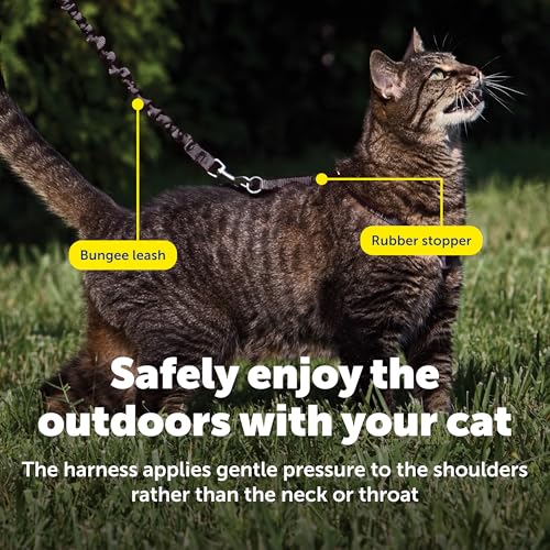 PetSafe Come with Me Kitty Harness and Bungee Leash, Large, Black