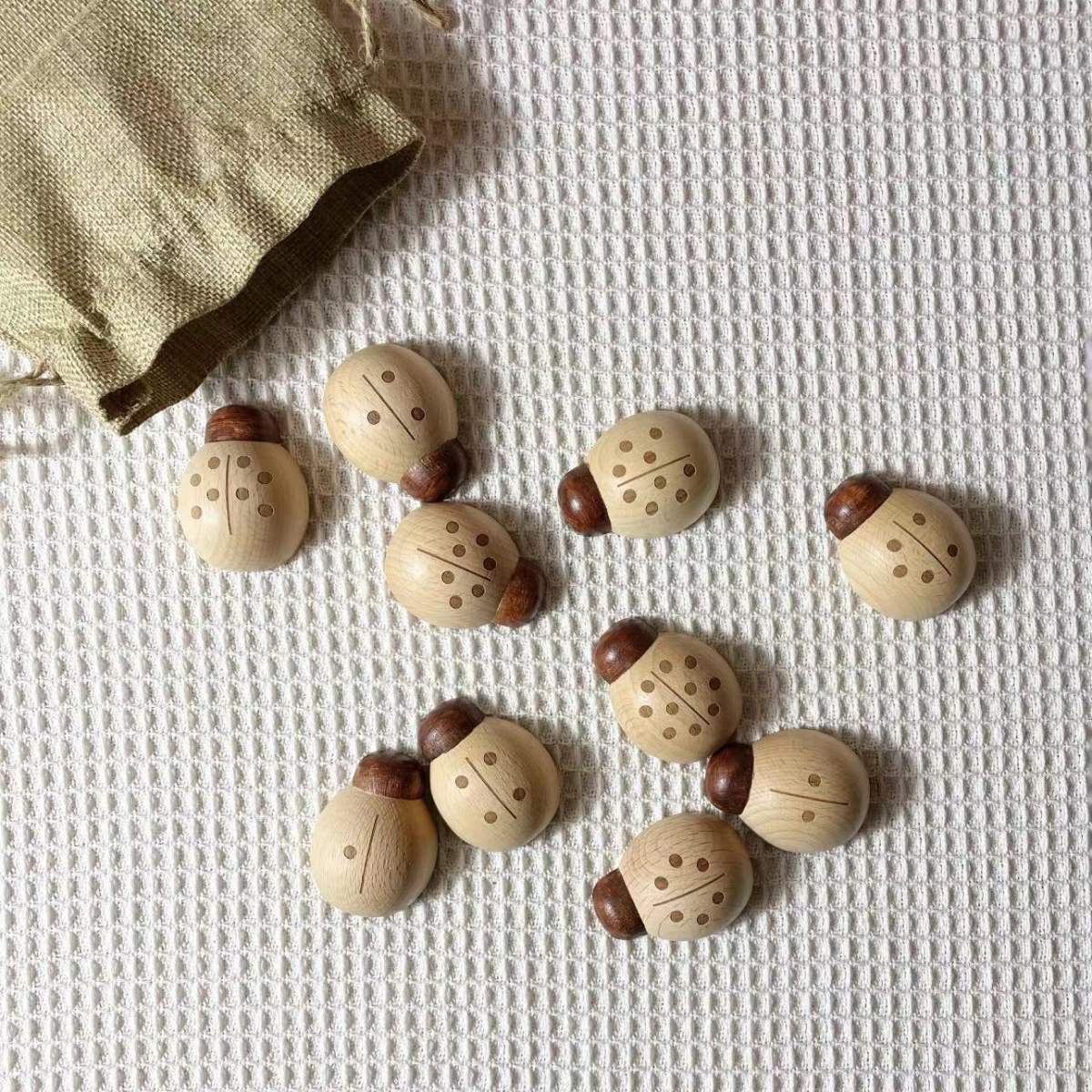 Beech Ladybird With Digital Teaching Aid Toys
