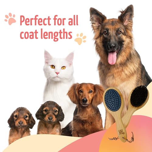 The Buddy System Combo Bristle Pet Brush, 2-in-1 Brush, Durable Rubber Side and Soft Boar Bristle Side - All Pets and Coat...