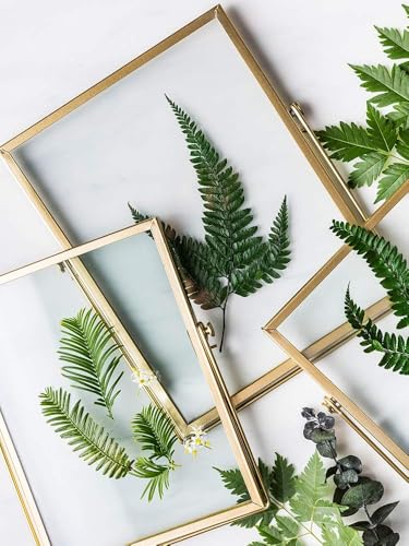 AceList Set of 3 Glass Photo Frame Collection Simple Metal Geometric Picture Frame with Glass Cover Includes 4"" x 4"", ...