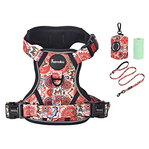 Petmolico No Pull Dog Harness Set with Leash Attachment Easy Control Handle Reflective Harness Vest Small Breed, Puppy Ves...