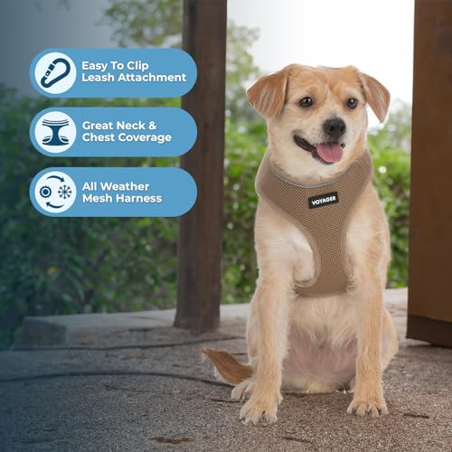 Best Pet Supplies Voyager Aerolite Adjustable No Pull Dog Harness with Reflective Stripes for Walking, Jogging, Heavy-Duty...