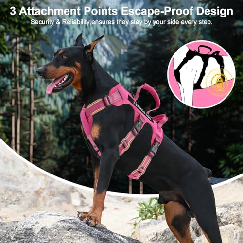 Escape Proof Dog Harness for Large Medium Sized Dogs Six Point Adjustable, Service Dog Vest Harness and Leash Set, No Pull...