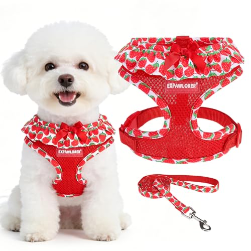 EXPAWLORER Cute Dog Harness Collar Leash Set - Red Girl Dog Harness Checkered Step-in Design, Adjustable No-Choke Lightwei...
