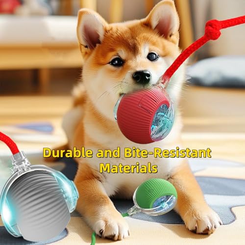 Interactive Dog Cat Toy Ball, Automatic Moving Bouncing Rolling, with Replacement Tail, Pet Smart Chase Ball Rechargeable,...