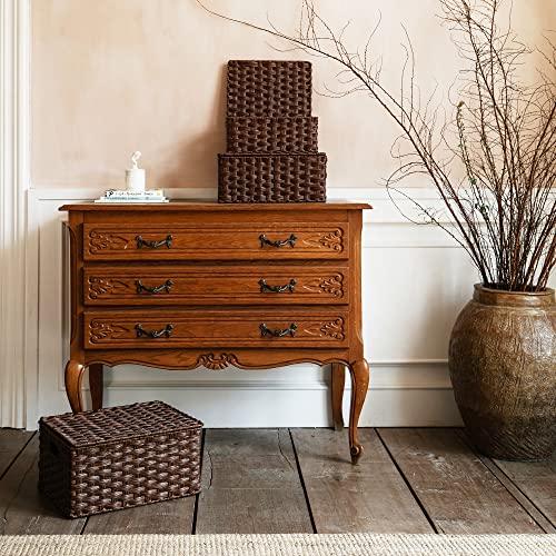 GRANNY SAYS Wicker Baskets with Lids, Set of 3 Decorative Storage Boxes, Woven Basket for Organizing, Storage and Organize...