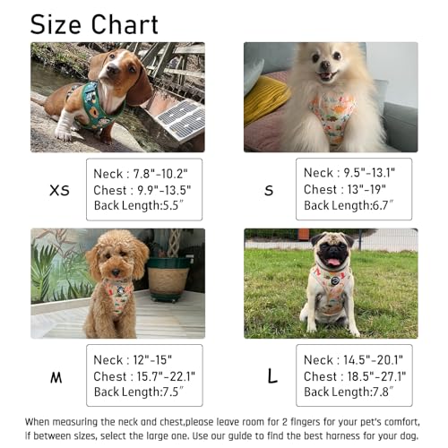 Dog Harness and Leash Set, Adjustable Dog Harness, Dog Leash, No Pull No Choke Puppy Harnesses for Walking Training for Sm...