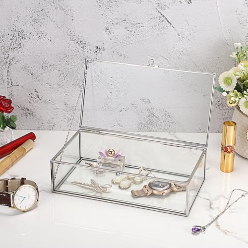 Hipiwe Glass Keepsake Display and Jewelry Organizer With Lid - Silver Decorative Clear Rectangle Storage for Trinket Perfu...