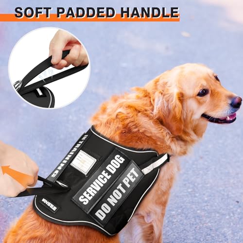 Service Dog Harness and Leash Set, Training Dog Vest with 10 Dog Patches, Emotional Support Therapy Dog Vest Harness for S...