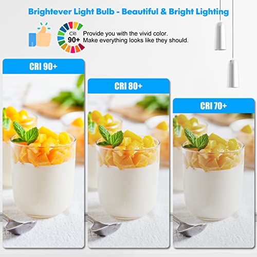LED Light Bulbs, 100 Watt Equivalent A19, 13W 5000K Daylight White 1500 Lumens Non-Dimmable Bright E26 Edison Medium Screw...