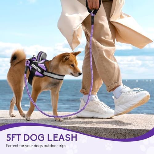 Animire Service Dog Harness and Leash Set, XS, Purple, with 10 Patches, Reflective, for Small Dogs