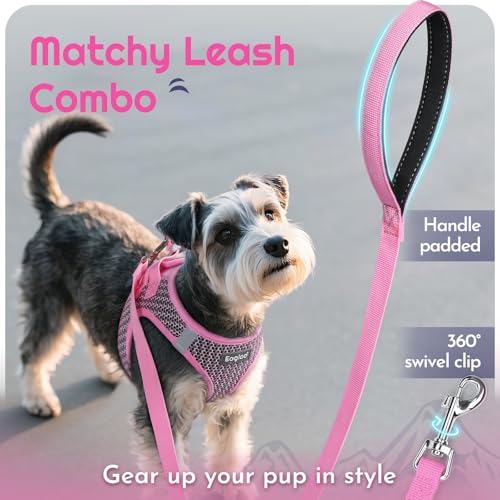Eagloo Small Dog Harness and Leash Set, Step in Puppy Vest with Breathable Soft Mesh, Walking Reflective Pet Harness for S...