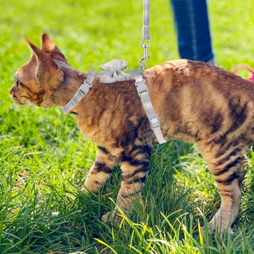 TIESOME Cat Harness and Leash Set, Adjustable Gradient Kitten Harness Escape Proof Harness with Leash for Kitty Outdoor Wa...