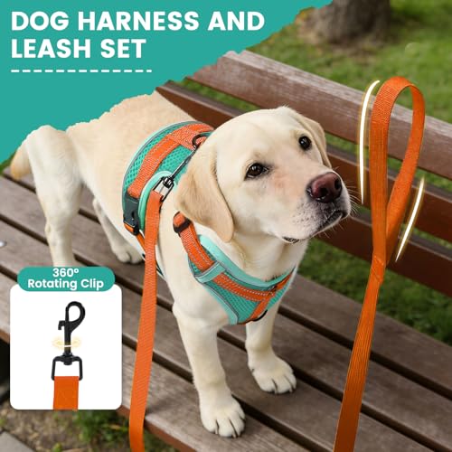 PAWDAY No-Pull Dog Harness with Dog Leash Breathable Mesh Adjustable Soft Padded Pet Vest Reflective for Small/Medium/Larg...