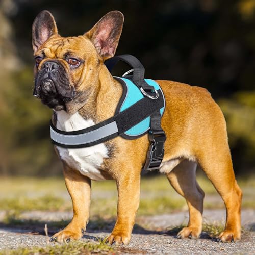 Haapaw Essential Dog Harness, No Pull Pet Vest with 3 Leash Clips, No Choke, Reflective, Adjustable and Padded, for Easy W...