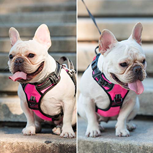 PoyPet No Pull Dog Harness, No Choke Front Lead Dog Reflective Harness, Adjustable Soft Padded Pet Vest with Easy Control ...