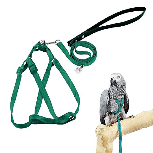 ASOCEA Adjustable Bird Harness and Leash for Yellow Naped Amazons Galah Cockatoos Small to Medium Breed Parrots Fits Birds...
