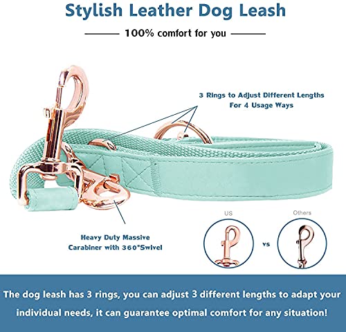 Soft Leather Dog Collar and Leash (6.6') Set - Stylish Rose Gold Heavy Duty Metal Buckle, 4 Adjustable Lengths Leash for S...