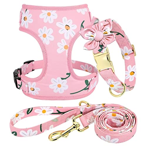 Beirui Cute Girl Dog Collars, Harnesses & Leashes Set - Adjustable Dog Collar and Leash Set with Flower - Soft Mesh Dog Ve...