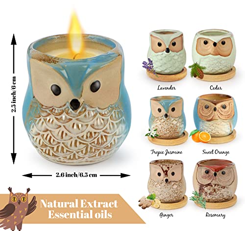 Kinforse Scented Candles Birthday Gifts for Women, Owl Gifts for Women, 6 Pack Novelty Owl Aromatherapy Candle Bulk Gift f...