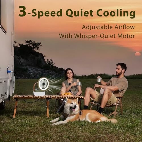 EJYTRVT Solar Camping Fan with LED Light – Rechargeable Portable Fan with 3 Speeds, 4 Lighting Modes, USB & Solar Powered,...