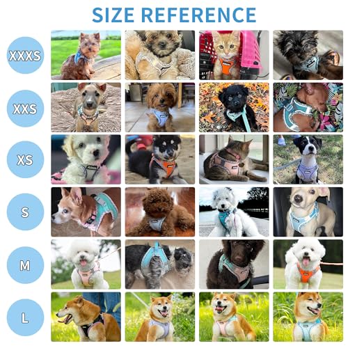 AIITLE XXS Dog Harness & Leash Set - Breathable Reflective No-Choke Small Dog Harness for Teacup Puppies, Indoor/Outdoor U...