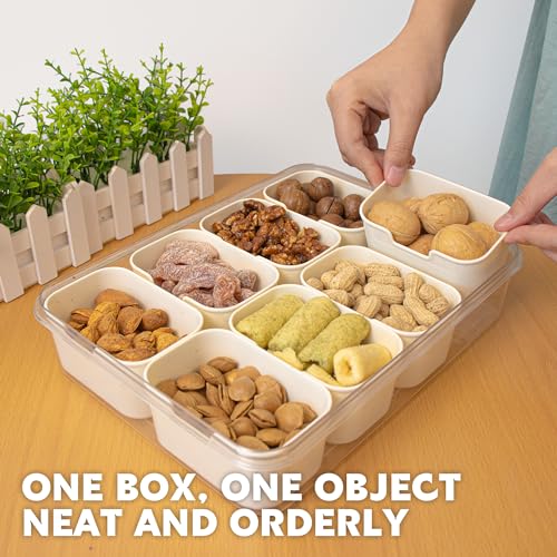 HRXFOZ Divided Serving Tray with Lid and Handle,8 Compartments Snacks Box,Snack Fruit and Veggie Tray,Portable Platter for...