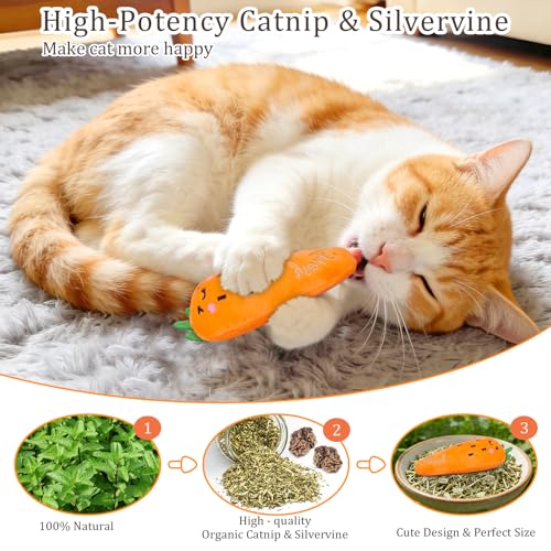 ETEKYER Catnip Cat Toys, 5 Pack, Plush Cat Nip Toys for Indoor Kitten Kitty, Interactive Cat Kicker Chew Safe Teeth Cleani...