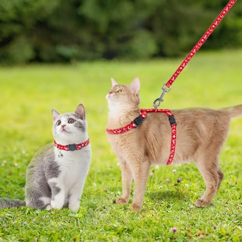 PAWCHIE Cat Harness with Leash and Collar Set - Escape Proof Adjustable H-shped Cat Harness with Star and Moon Pattern Glo...