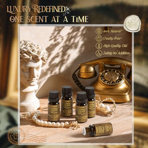 SALKING Hotel Diffuser Oil, Luxury Hotel Fragrance Oil Gift Set, Premium Essential Oil for Diffuser Inspired by The Most P...