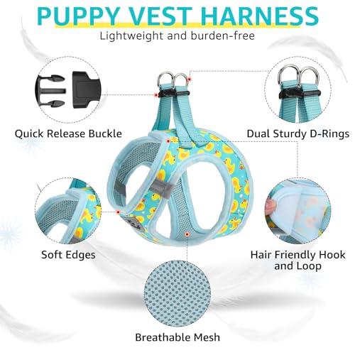 SCENEREAL Small Dog Harness and Leash Collar Set, Step in Soft Light Puppy Vest, Breathable Pet Harness for Small Sized Do...
