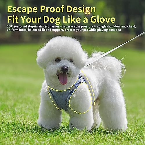JOYPAWS Soft Dog Harness and Leash Set for Walking, Summer Step in Vest Harness, Reflective Bands, Ultra Thin Breathable P...