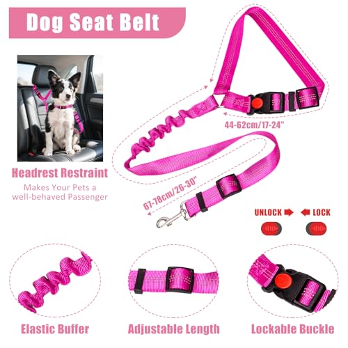 YXFDOYT No Pull Dog Harness Adjustable Collar & Leash Set - Dog Halter Harnesses Collapsible Bowls & Poop Bag Dispenser Mu...