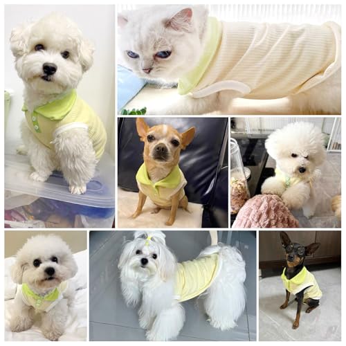 AXIIJGL Dog Tshirts for Small Dogs Polo Shirt Stretchy Dog T Shirt Breathable Dogs Cooling Vest Sweatshirts Girl Boy Puppy...