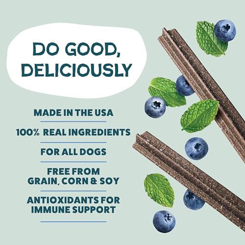 Shameless Pets Blueberry & Mint Dental Chews for Dogs, 8 Chews - Natural Dog Teeth Cleaning Treats with Fresh Breath Benef...