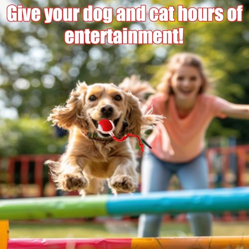 2025 New Interactive Dog Cat Toys Balls,Interactive Rolling Ball Cat Toy, 360° Smart Automatic Rolling Pet Ball, Fast Movi...
