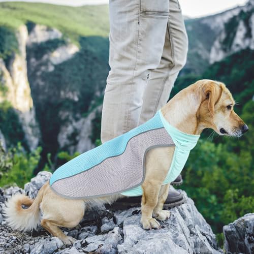 Dog Cooling Vest for Summer, Breathable Mesh Cooling Shirt Jacket for Dogs Summer Heat Relief, Lightweight Cooling Dog Har...