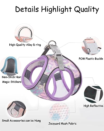 Aecllcea Dog Harness for Small Medium Dogs No Pull, Cat Harness and Leash Set, Step in Puppy Harness (Purple, XXS)