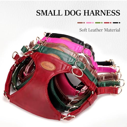 Beirui ‌Stylish PU Leather Dog Harness‌ and Leash Set for Small Dogs, ‌Adjustable Step in Dog Vest Harness with Breathable...