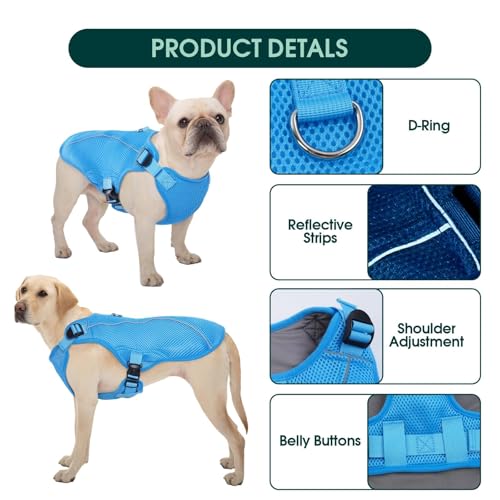 Kuoser Dog Cooling Vest Harness, Small Puppy Cooler Jacket with Adjustable Buckle for Outdoor Beach, Hiking, Training Blue S