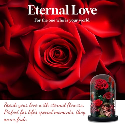 CuteWelt Preserved Roses,Forever Fresh Flowers 7.48in,Gift for Women,Mom,Grandma,Wife,Girlfriend,Sister,and Daughter Perfe...