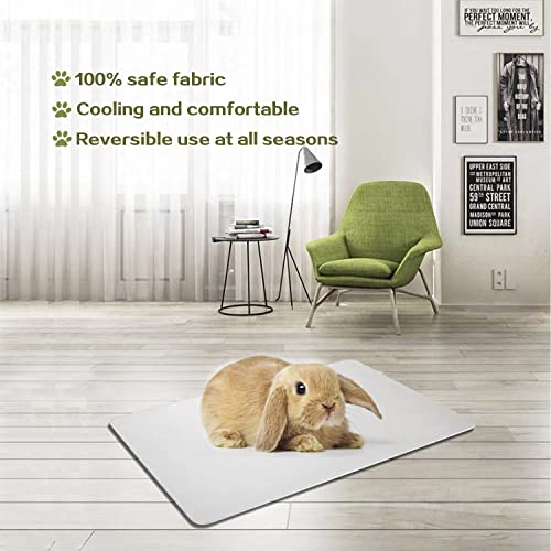 FIPASEN 11.8x7.9 IN Pet Cooling Mat for Rabbit, Bunny, Hamster, Guinea Pig & Other Small Pets - Bite Resistance Ice Bed (2...
