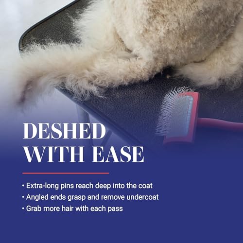 Chris Christensen Big G Dog Slicker Brush for Dogs (Goldendoodles, Labradoodles, Poodles), Groom Like a Professional, Fluf...
